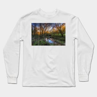 Winter Stream Long Sleeve T-Shirt